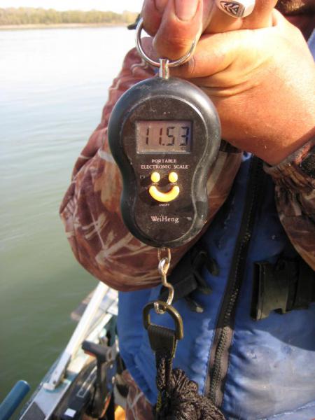 Прикрепленное изображение: IMG_4374.JPG