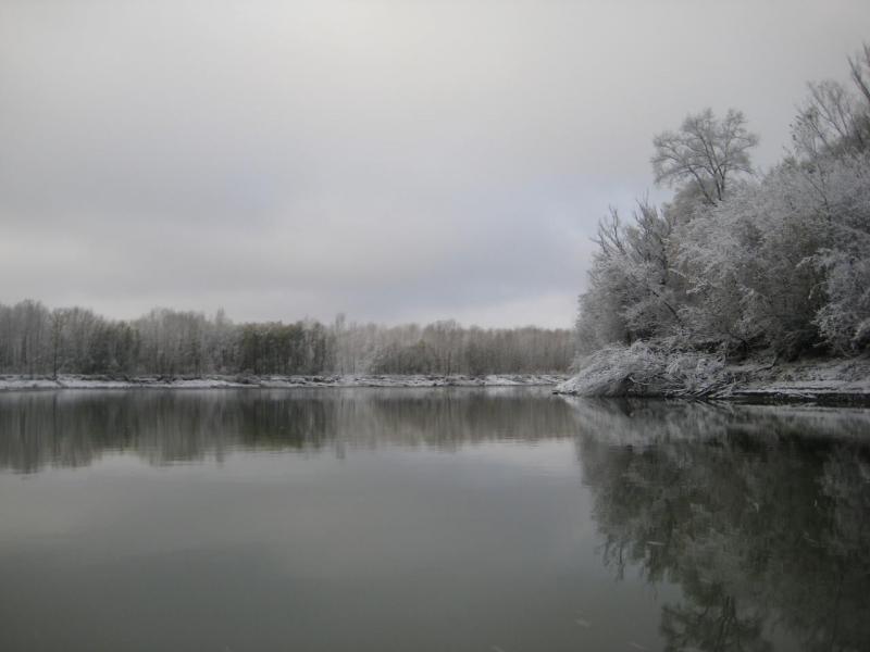 Прикрепленное изображение: IMG_4387.JPG