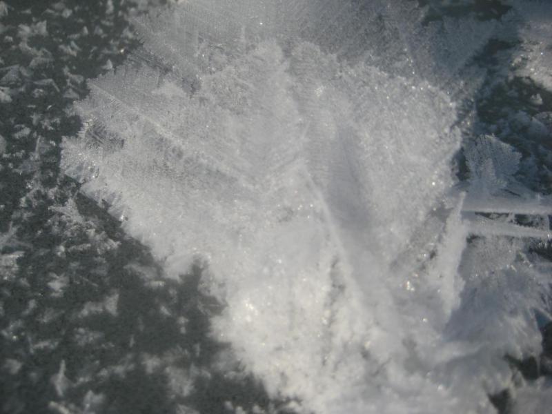 Прикрепленное изображение: IMG_5905.JPG