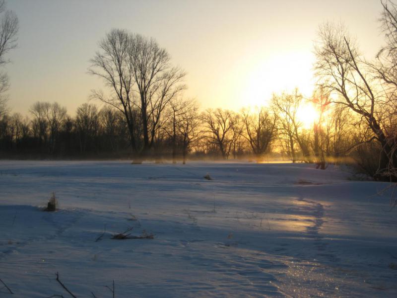 Прикрепленное изображение: IMG_5004.JPG