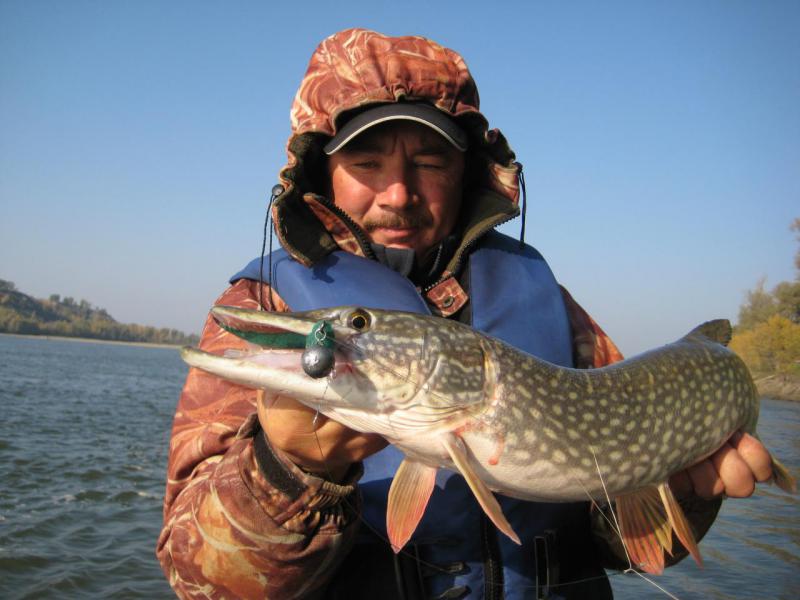 Прикрепленное изображение: IMG_4287.JPG