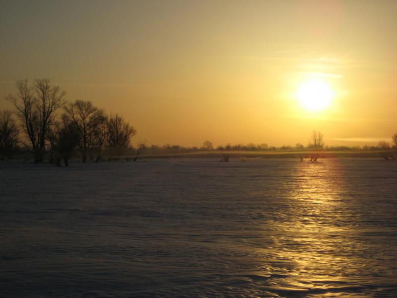 Прикрепленное изображение: IMG_5001.JPG