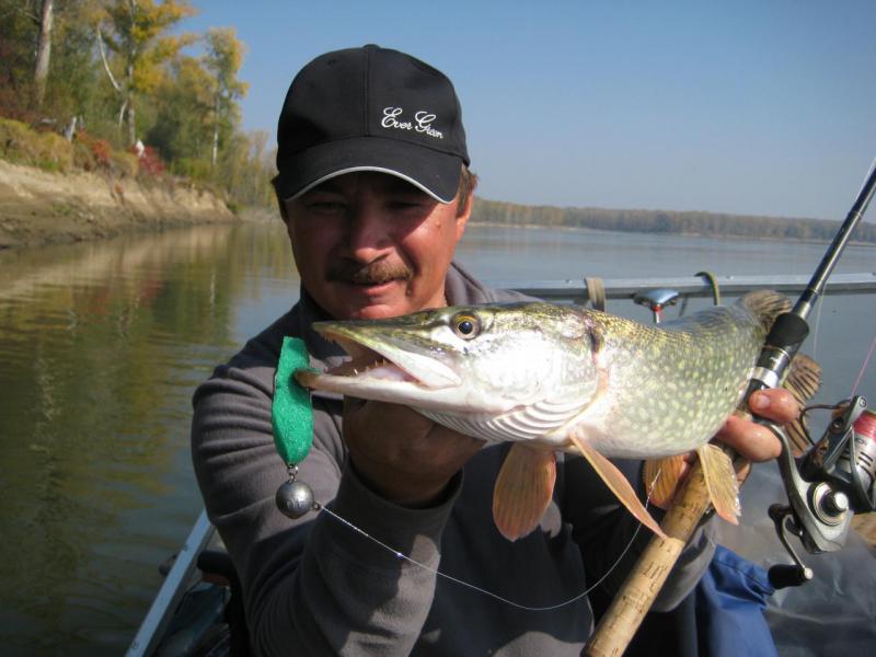 Прикрепленное изображение: IMG_4289.JPG