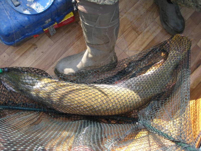 Прикрепленное изображение: IMG_4365.JPG