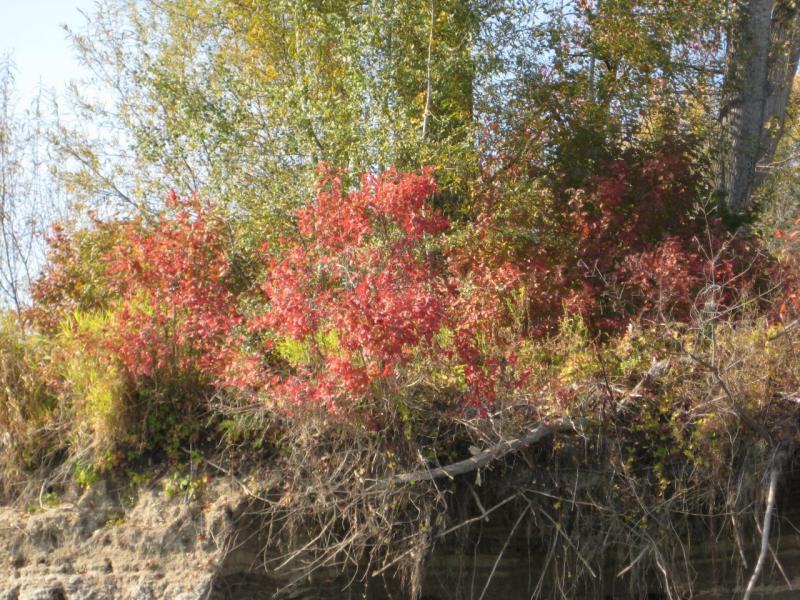 Прикрепленное изображение: IMG_4303.JPG