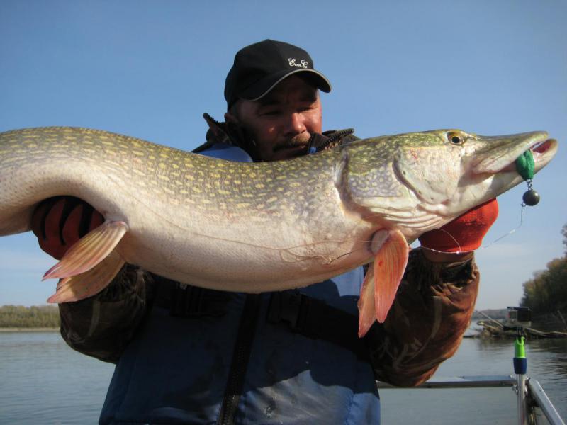 Прикрепленное изображение: IMG_4372.JPG