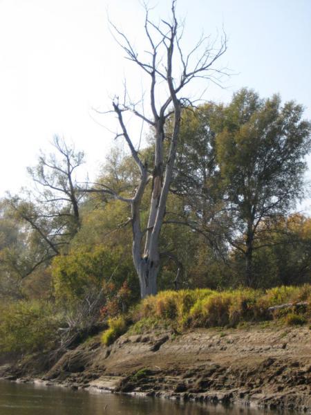 Прикрепленное изображение: IMG_4307.JPG