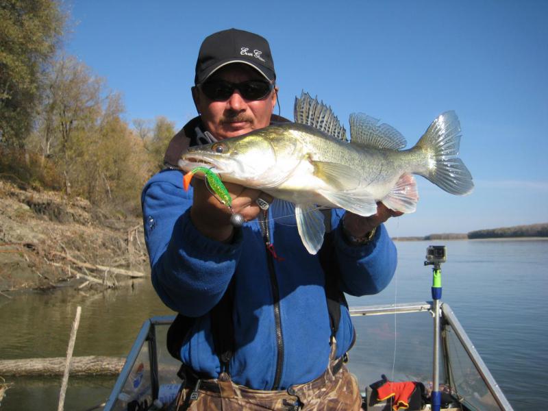 Прикрепленное изображение: IMG_4356.JPG