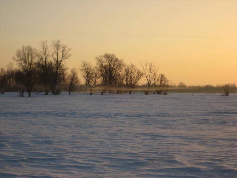 Прикрепленное изображение: IMG_5000.JPG