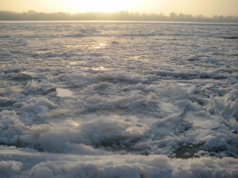 Прикрепленное изображение: IMG_5897.JPG