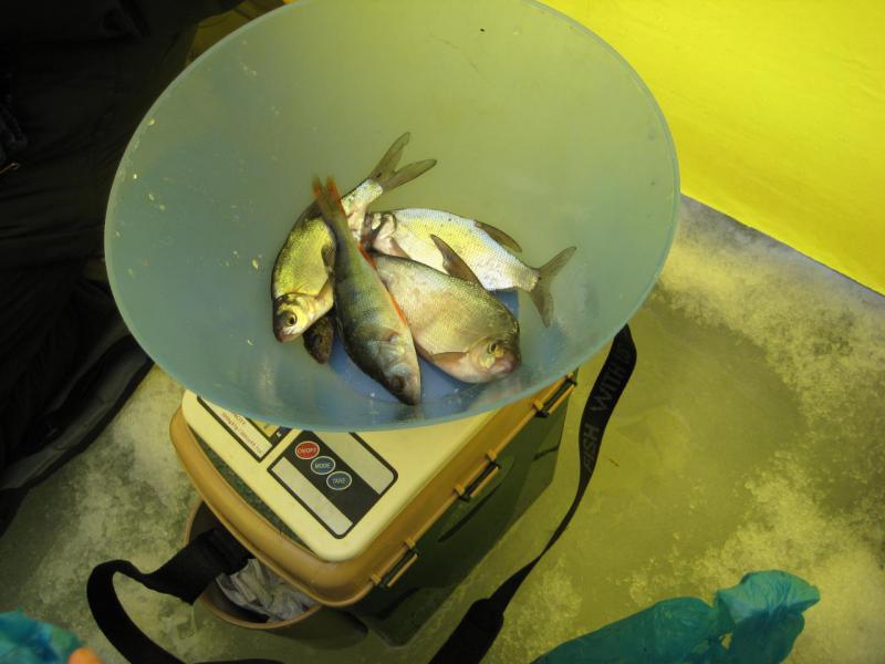 Прикрепленное изображение: IMG_5026.JPG