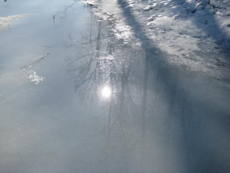 Прикрепленное изображение: IMG_5012.JPG