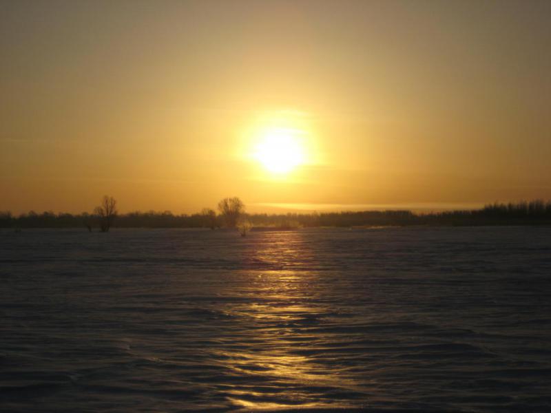 Прикрепленное изображение: IMG_4999.JPG