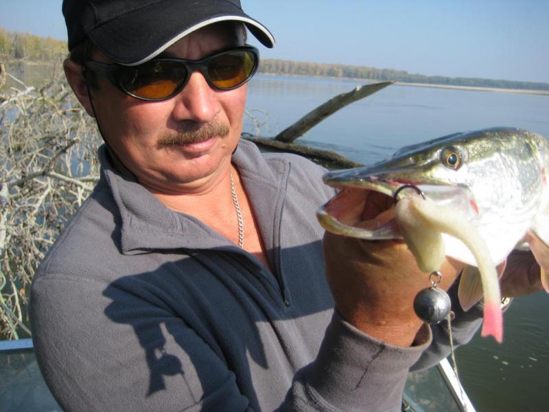 Прикрепленное изображение: IMG_4309.JPG