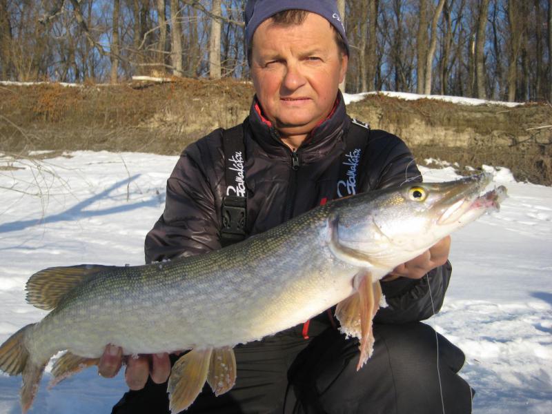 Прикрепленное изображение: IMG_5005.JPG