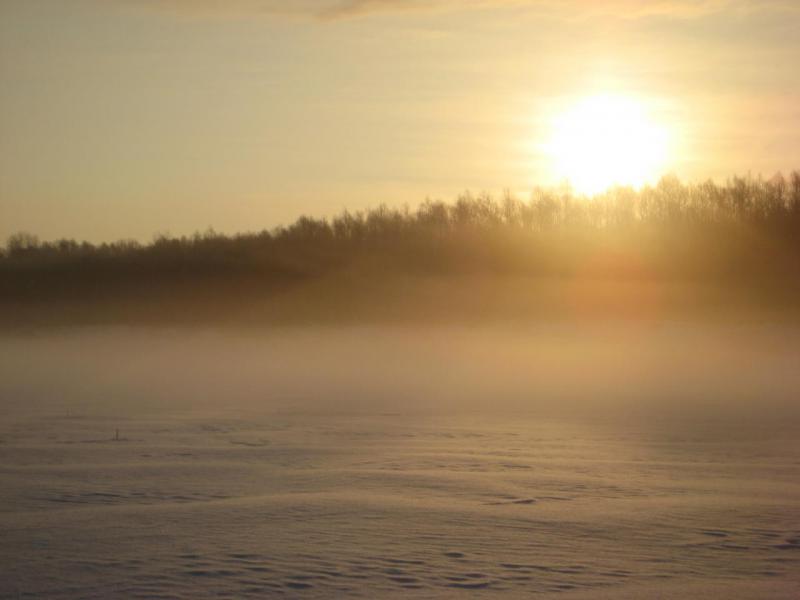 Прикрепленное изображение: IMG_48031.JPG