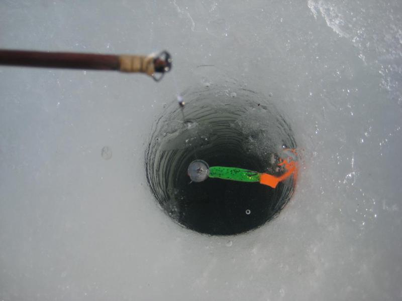 Прикрепленное изображение: IMG_5014.JPG