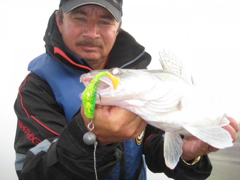 Прикрепленное изображение: IMG_5493.JPG