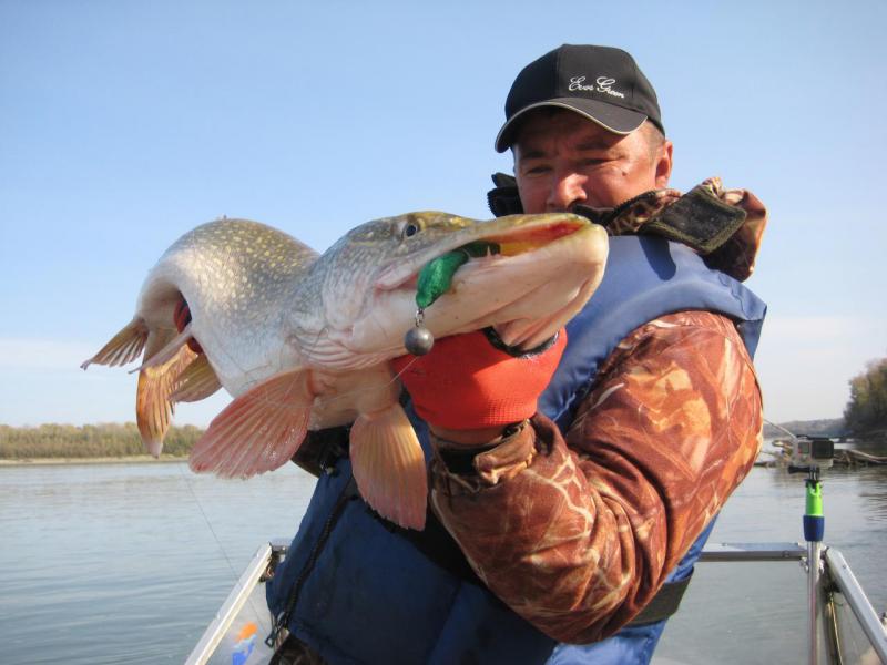 Прикрепленное изображение: IMG_4371.JPG