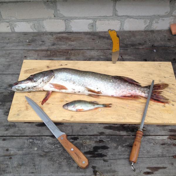 Прикрепленное изображение: 8.jpg