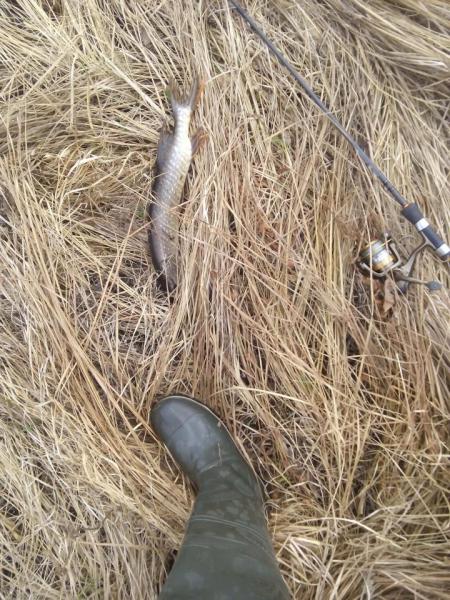 Прикрепленное изображение: IMG_20170508_080802.jpg