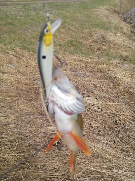 Прикрепленное изображение: IMG_20170508_102843.jpg