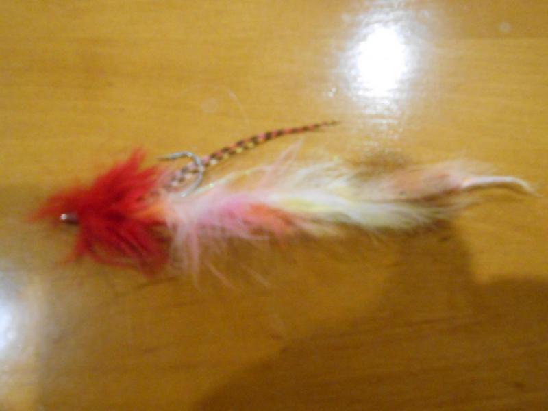 Прикрепленное изображение: DSCN4211.JPG