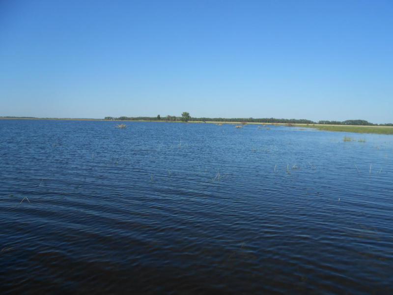 Прикрепленное изображение: DSCN4202.JPG