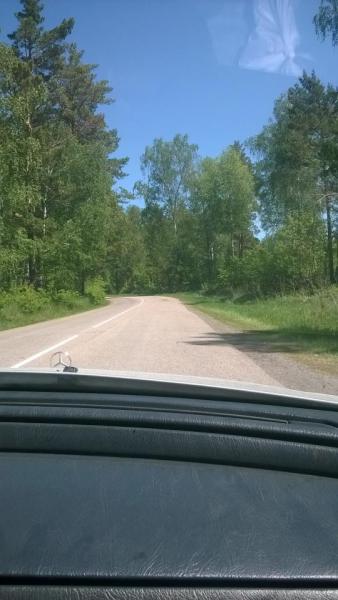Прикрепленное изображение: WP_20160528_12_55_44_Pro.jpg