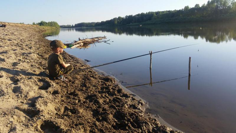 Прикрепленное изображение: 20170617_201053.jpg