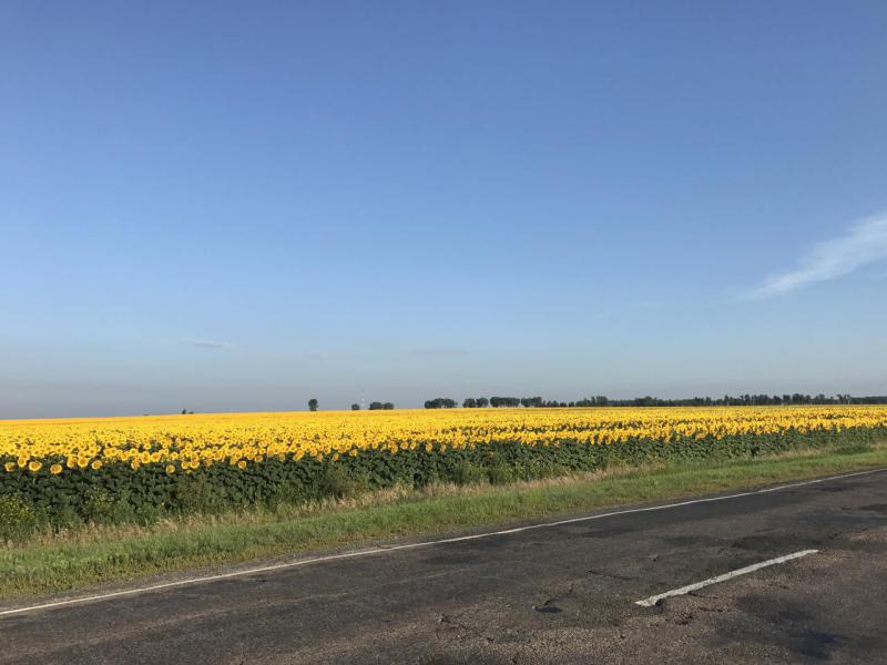 Прикрепленное изображение: IMG_0858.JPG