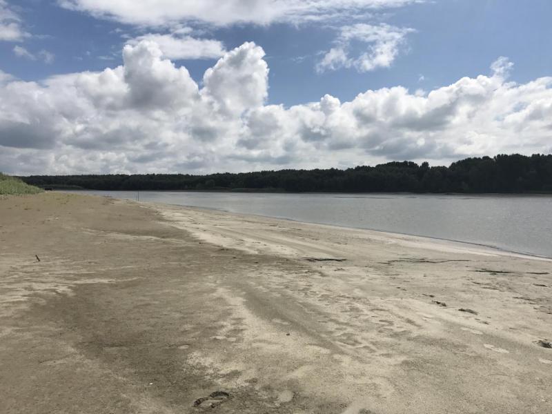 Прикрепленное изображение: IMG_0879.JPG