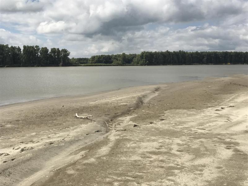 Прикрепленное изображение: IMG_0869.JPG