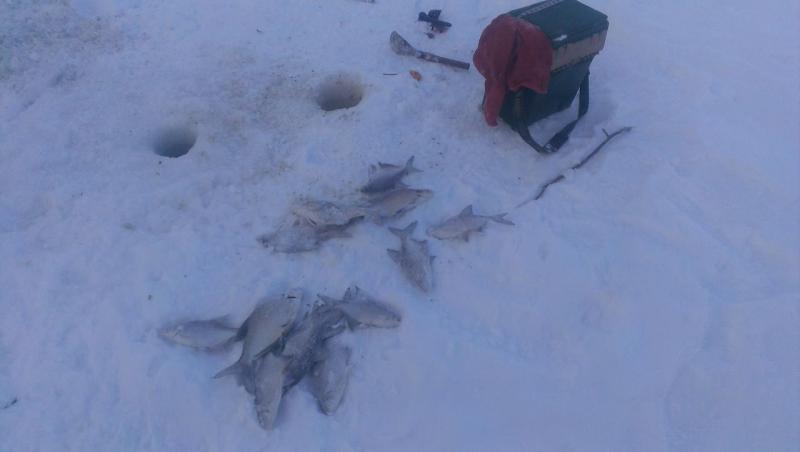 Прикрепленное изображение: IMAG2666.jpg