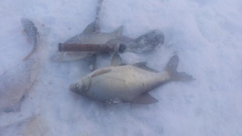 Прикрепленное изображение: IMAG2675.jpg