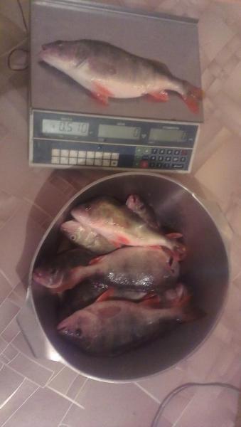 Прикрепленное изображение: IMAG2772.jpg