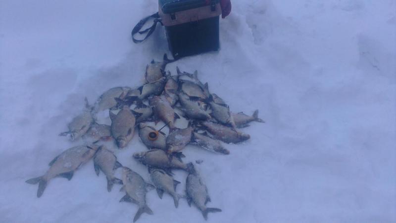 Прикрепленное изображение: IMAG2740.jpg