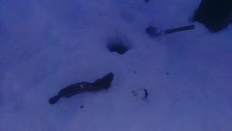 Прикрепленное изображение: IMAG2661.jpg