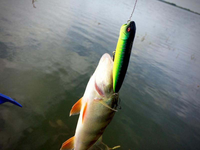 Прикрепленное изображение: фото 10.jpg