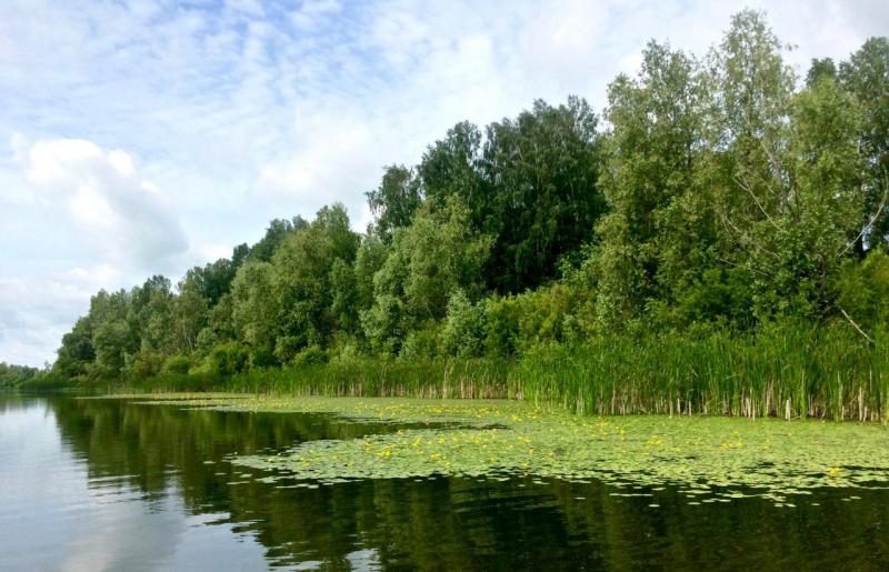 Прикрепленное изображение: 9.jpg