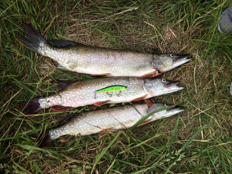 Прикрепленное изображение: IMG_3212.jpg