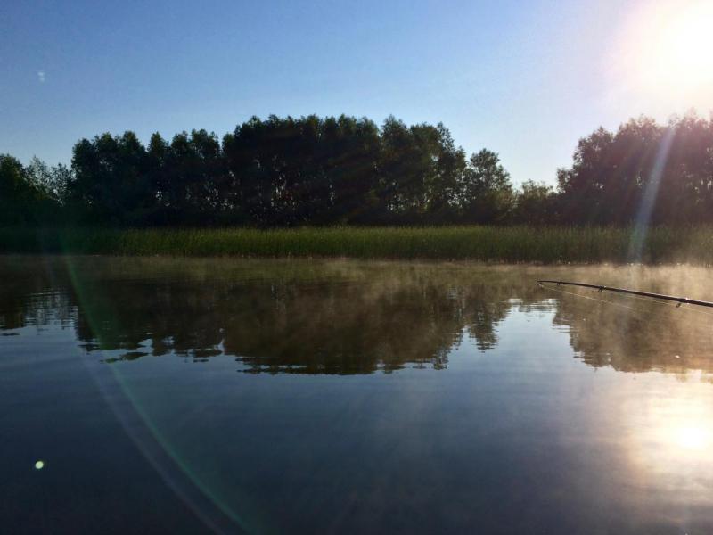 Прикрепленное изображение: IMG_3175.jpg