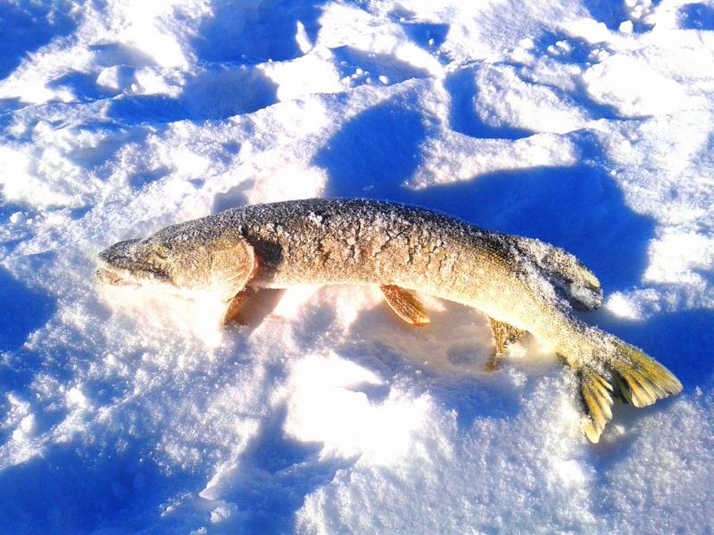 Прикрепленное изображение: 2.jpg