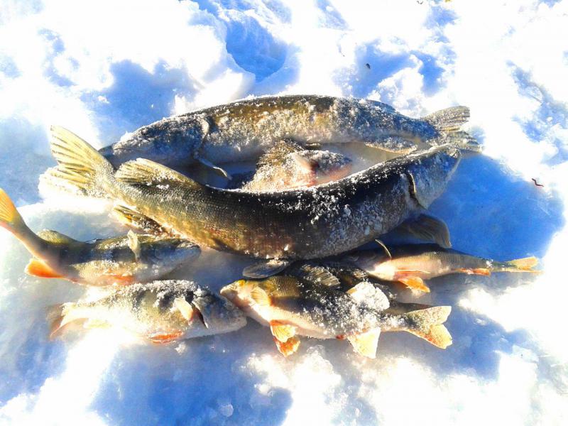 Прикрепленное изображение: 3.jpg