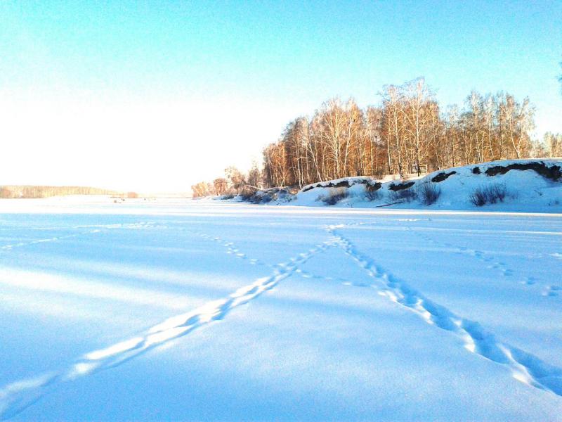 Прикрепленное изображение: 20160110_140215.jpg