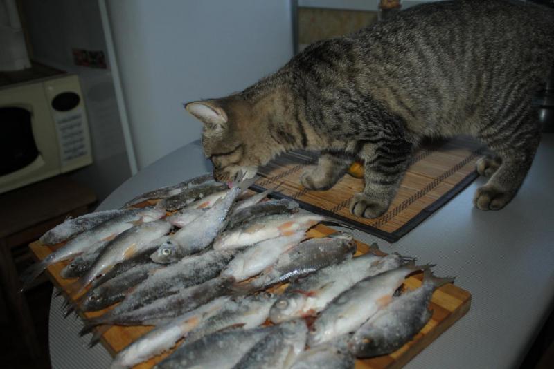 Прикрепленное изображение: IMG_6757.JPG