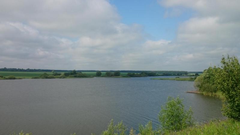 Прикрепленное изображение: Водоем.JPG