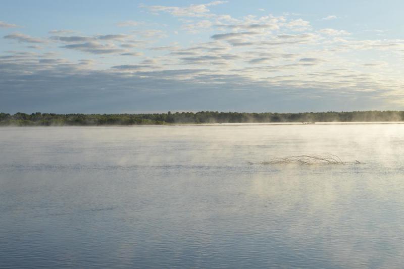 Прикрепленное изображение: DSC_2470.JPG