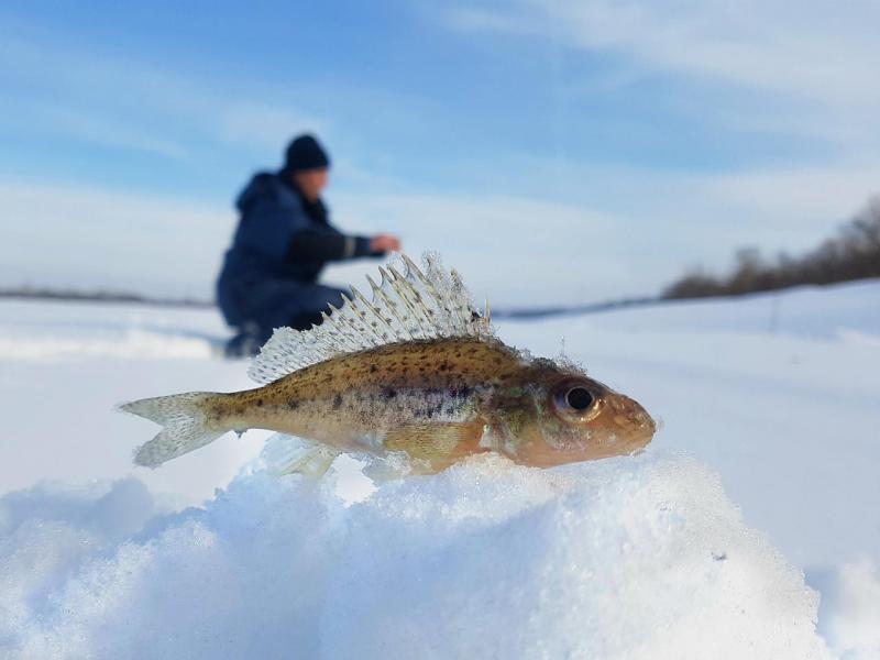 Прикрепленное изображение: 5.jpg