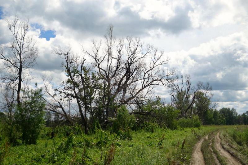 Прикрепленное изображение: 30.jpg